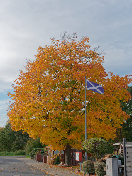 Herbst International.jpg