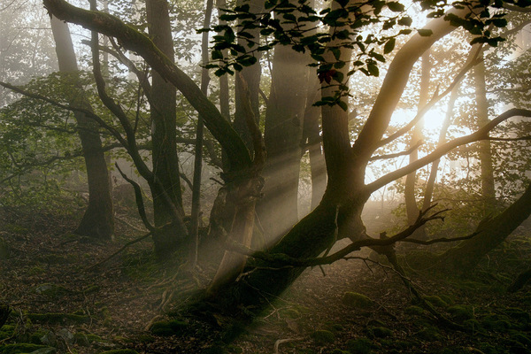 Licht & Schatten