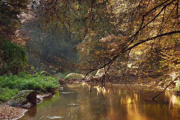 Herbstliches Aisttal