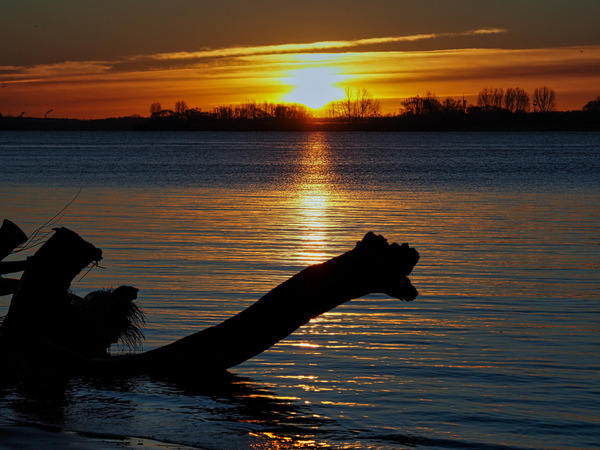 Sonnenaufgang Elbe 3