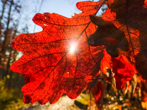 Kleiner Lichtblick