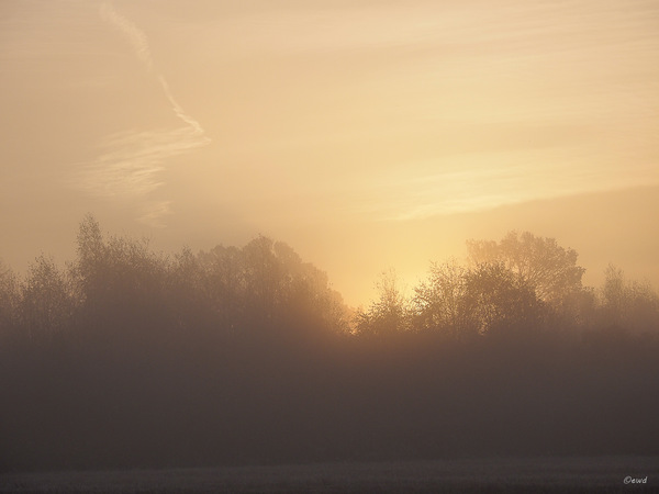 In der Früh