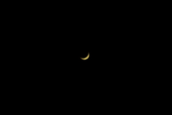 Venus 2,6% 31.12.2021