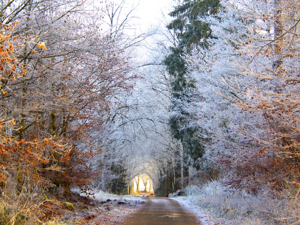 Licht am Ender der Allee