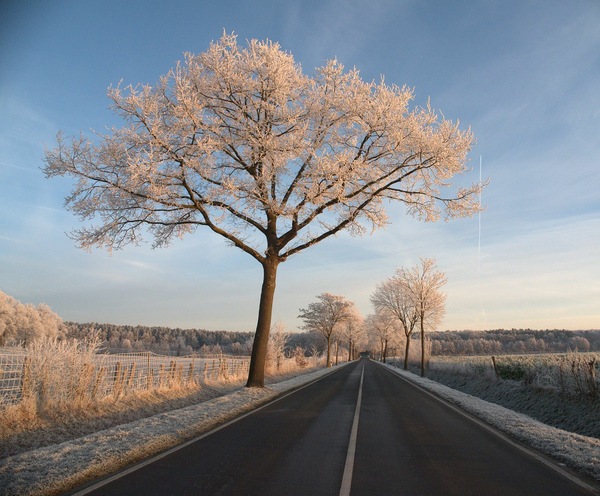 on the road again
