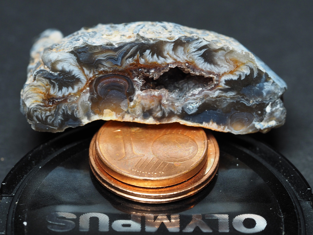 P1301632 (2)_sk-Größenvergleich_.jpg