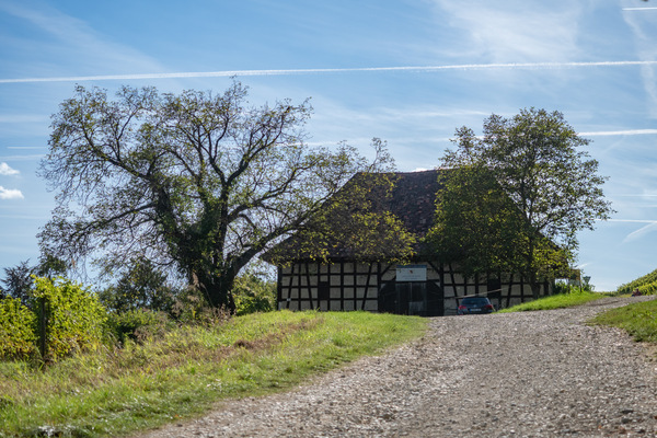02-hontes.jpg