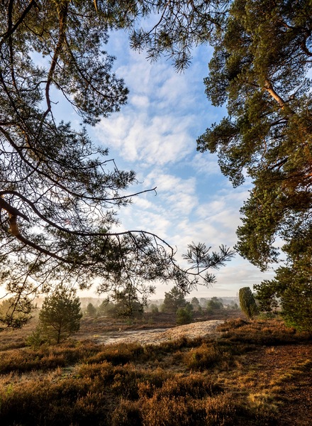 Ein Stückchen Himmel