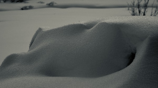 Campo D´Orso 1