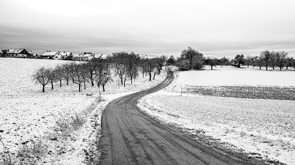 the road & white landscape