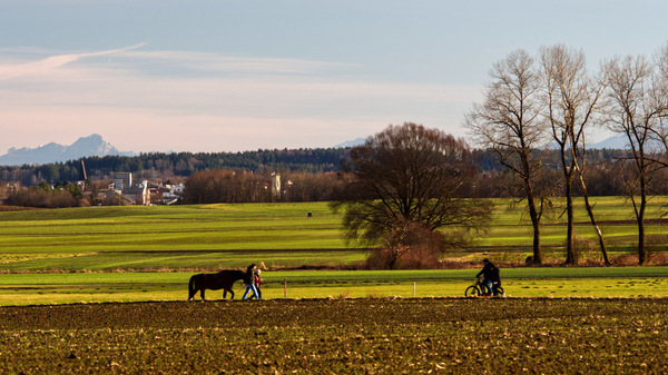 Bei Alling 1