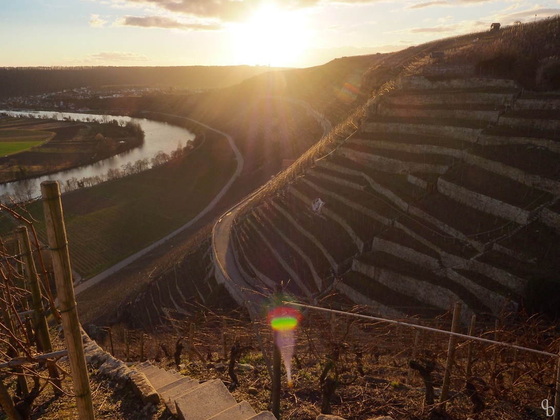 P2050032 - Arbeitskopie 2.jpg