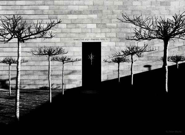 In Memoriam- Neue Synagoge Dresden.jpg