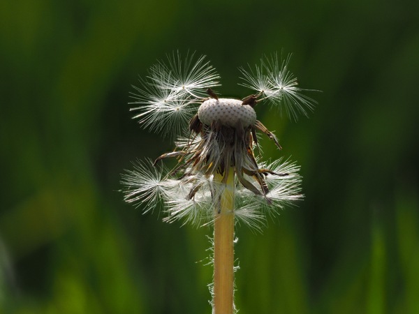 Kinder tanzen