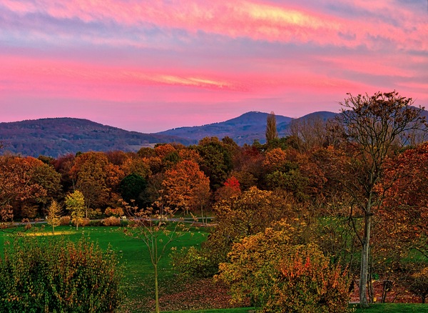 Rheinaue Bonn Blick auf das Siebengebirge.jpg