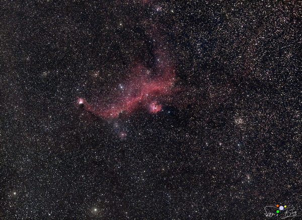 Möwen Nebel  - IC2177