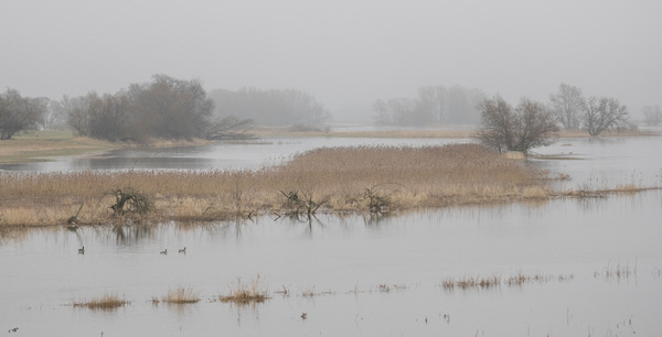 Hochwasser
