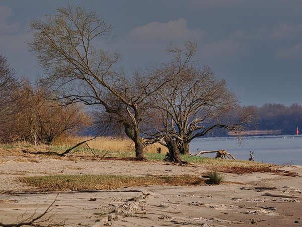 An der Elbe in Hetlingen