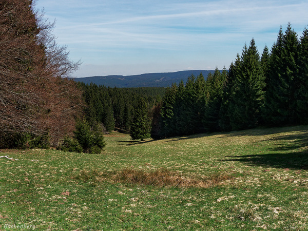 Im rechten Tammichgrund