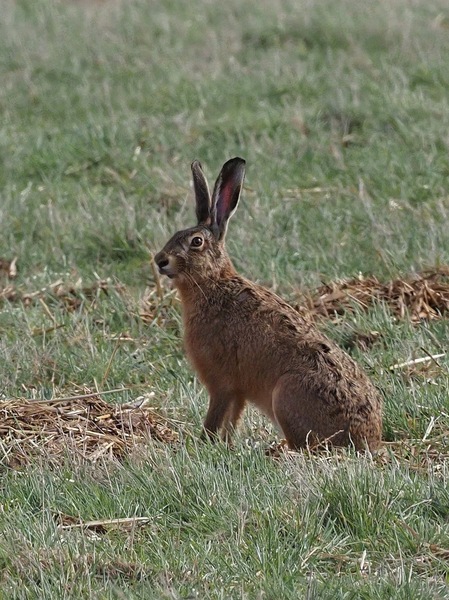 Frohe Ostern!