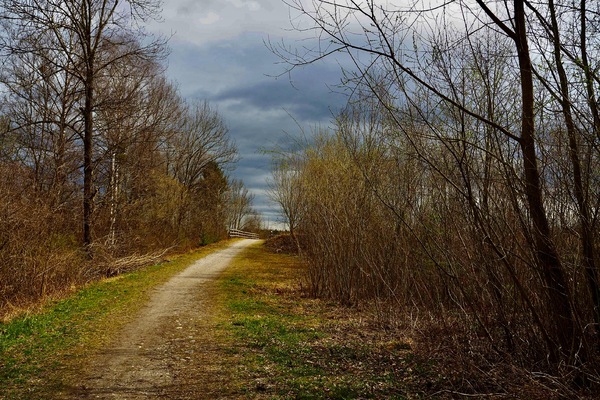 Regenwolken