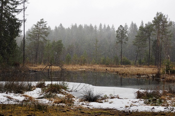 Schneetreiben am Moorweiher
