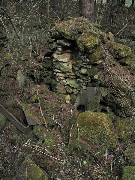 P4050004.JPG