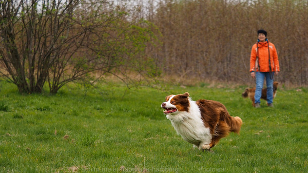 Turbo...