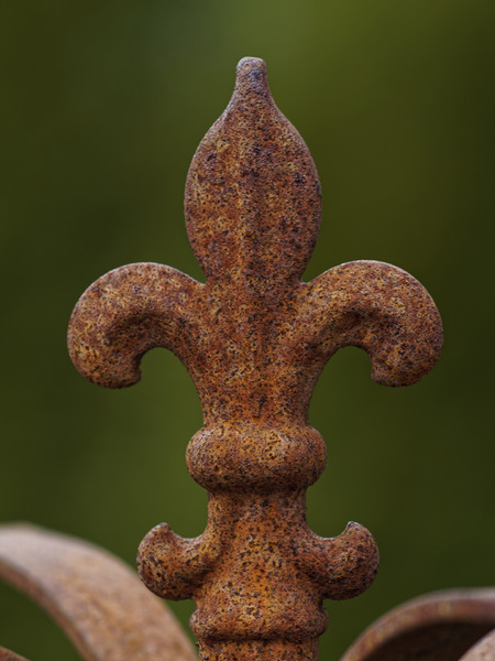 _4080187_DXOxxl.jpg