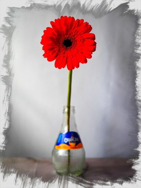 fotor_1640799175961.jpg