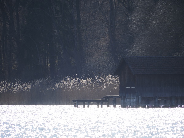Ammersee im Gegenlicht_2_3080574.jpg