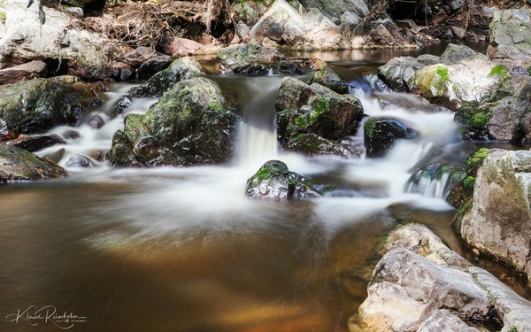 Wildbach 1