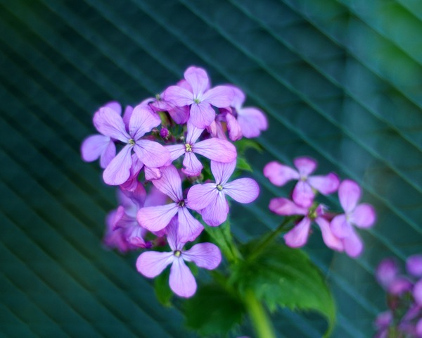 P5070226.JPG