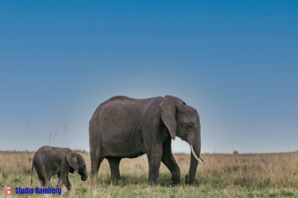 Kenia