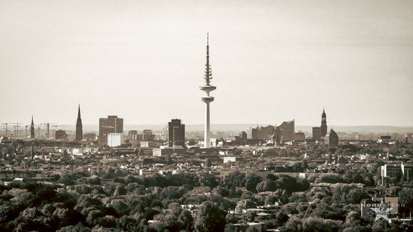 Moin