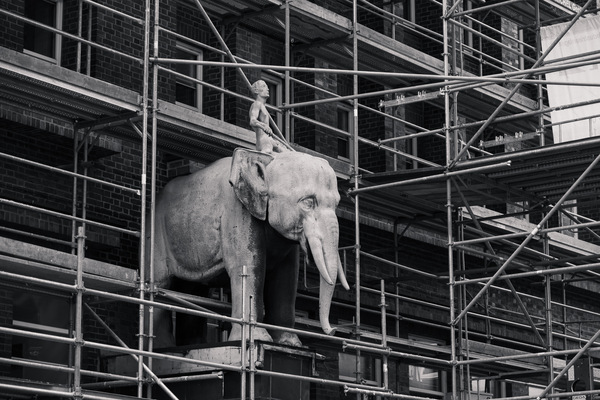 Elefant am Brahmskontor ...