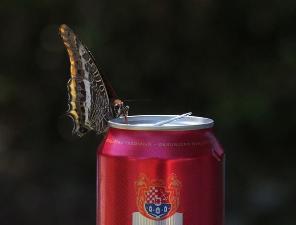Mundraub_6029726.jpg