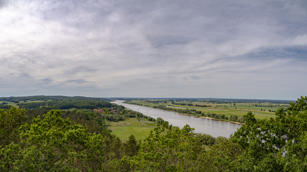 Elbe