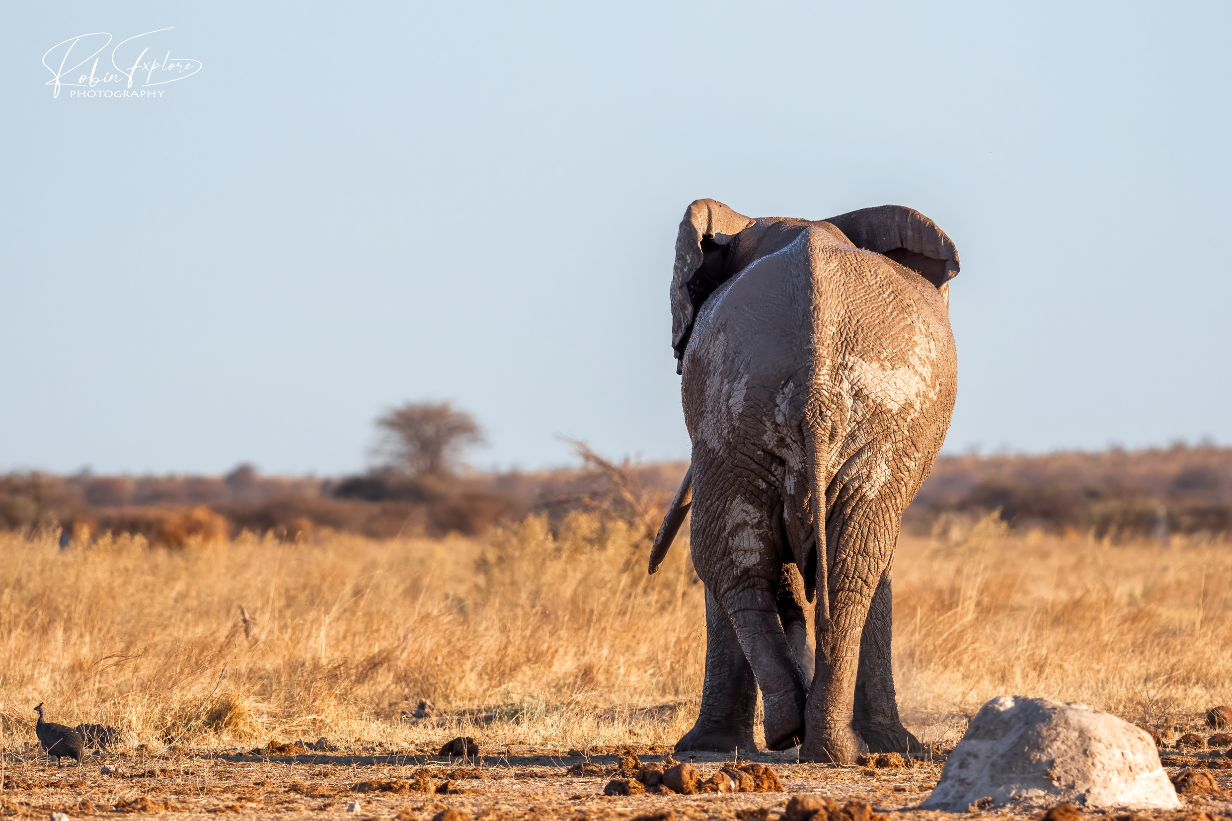 [Zum Mitmachen] Afrika von Hinte(r)n