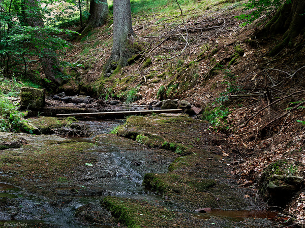 Trockenheit 2