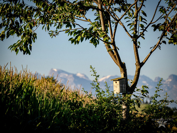 Zimmer mit Aussicht