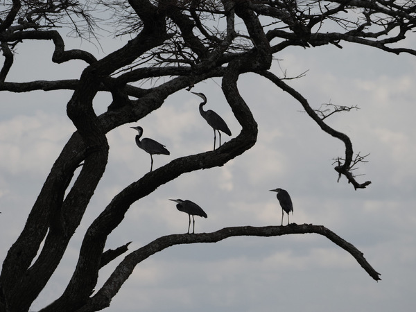 PA170717xyc - Kopie.JPG