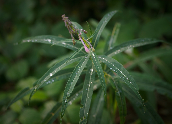 Schauer in der Nacht
