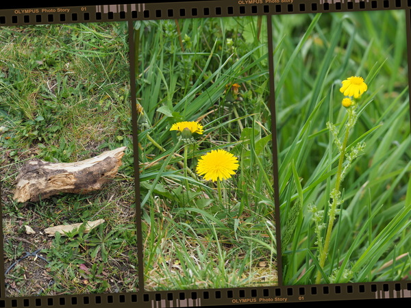 🎞 Einfach schräg 🎞