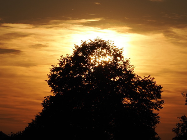 Sonnenuntergang.JPG