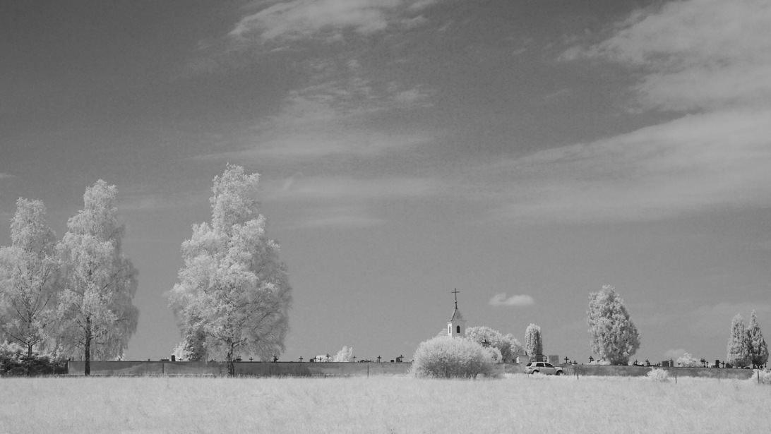 Friedhof IR direkte sw Umwandlung.jpg
