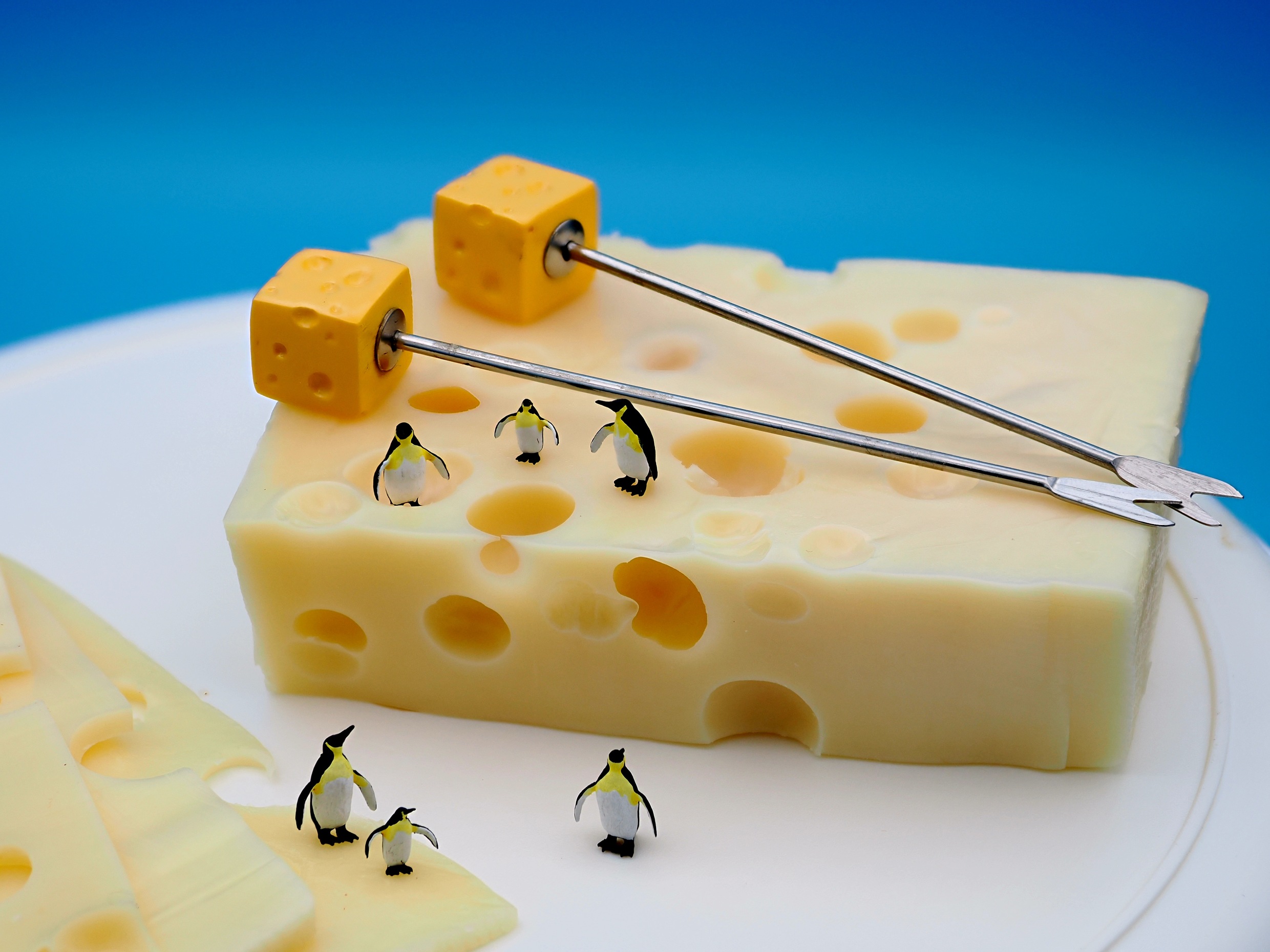 Miniaturfotografie