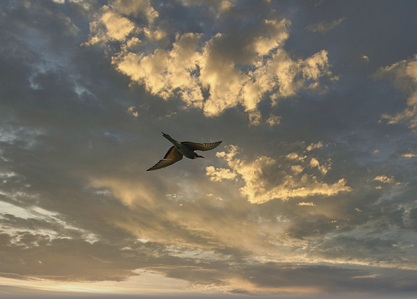 Abendlicher Abflug