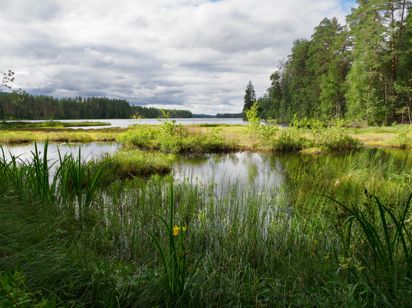 Der Himmel über dem See
