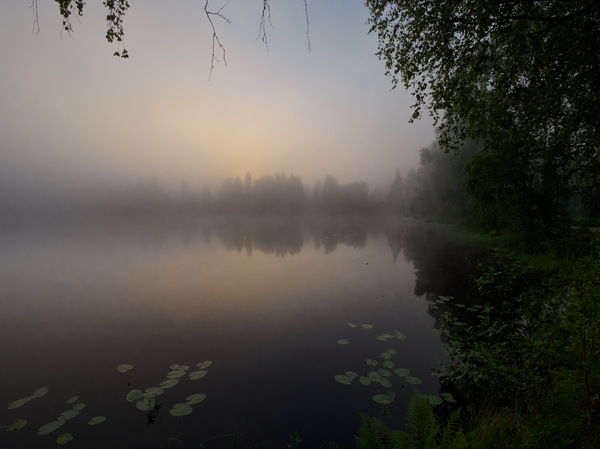 Morgennebel 4
